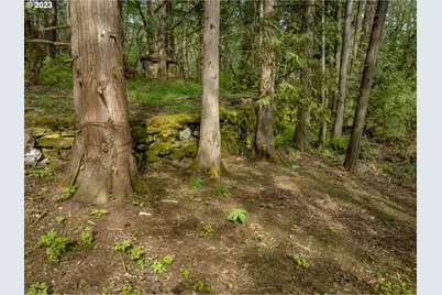 455 Country Club Rd, Hood River, OR 97031 - Photo 16