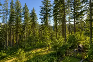 32146 Viewcrest Dr, Warren, OR 97053 - Photo 8