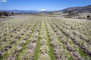 3316 Thomsen Rd, Hood River, OR 97031 - Photo 6