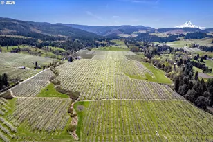 3316 Thomsen Rd, Hood River, OR 97031 - Photo 44