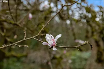 6100 SW Thomas St, Portland, OR 97221 - Photo 36