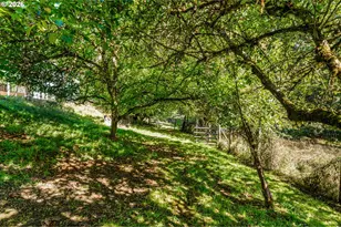 24820 Norris Ln, Junction City, OR 97448 - Photo 46