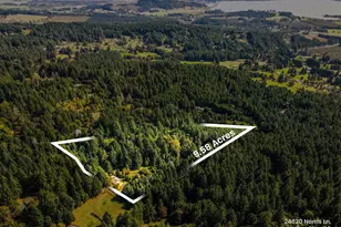 24820 Norris Ln, Junction City, OR 97448 - Photo 2
