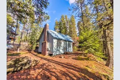 89255 E Government Camp Loop, Government Camp, OR 97028 - Photo 1