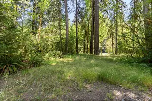 McKenzie River Dr, Blue River, OR 97413 - Photo 14