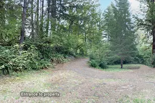 McKenzie River Dr, Blue River, OR 97413 - Photo 4