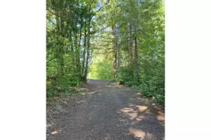 McKenzie River Dr, Blue River, OR 97413 - Photo 4