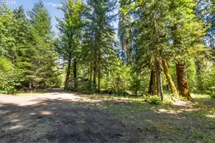 McKenzie River Dr, Blue River, OR 97413 - Photo 18