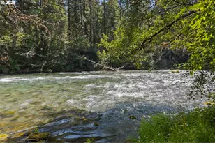 McKenzie River Dr, Blue River, OR 97413 - Photo 16