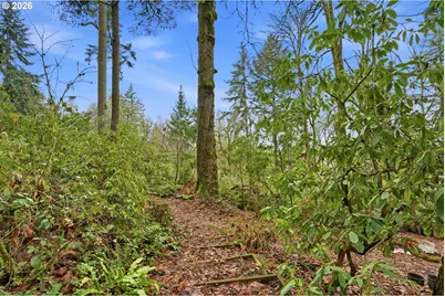 16240 SE Maple Hill Ln, Happy Valley, OR 97086 - Photo 36