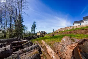 NE Mountain Home Rd, Sherwood, OR 97140 - Photo 16