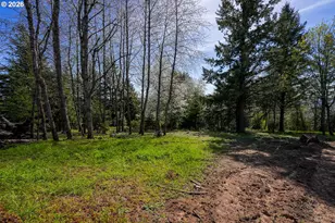 NE Mountain Home Rd, Sherwood, OR 97140 - Photo 18
