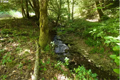 94994 Elk River Rd, Port Orford, OR 97465 - Photo 36