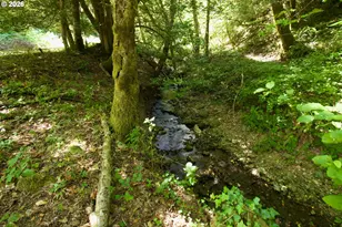 94994 Elk River Rd, Port Orford, OR 97465 - Photo 36