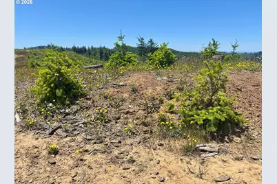 Larson Ln, North Bend, OR 97459 - Photo 16