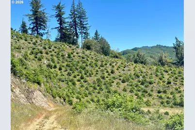Larson Ln, North Bend, OR 97459 - Photo 22