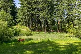 30125 NW Scotch Church Rd, Hillsboro, OR 97124 - Photo 34