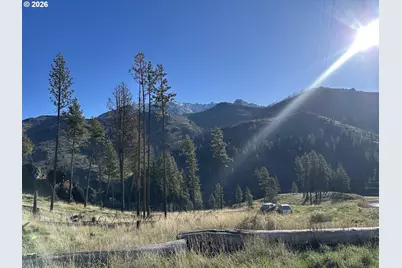 24403 Cougar Crossing Rd, Canyon City, OR 97820 - Photo 6