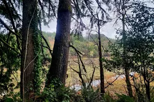 97736 N Lake Ln, Lakeside, OR 97449 - Photo 48