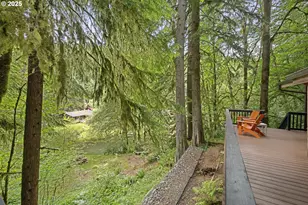 10251 Ridgview Terrace, Birkenfeld, OR 97016 - Photo 26