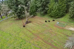 78783 Sears Rd, Cottage Grove, OR 97424 - Photo 32