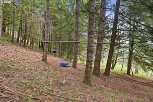 78783 Sears Rd, Cottage Grove, OR 97424 - Photo 36