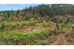 37308 Hwy 58, Pleasant Hill, OR 97455 - Photo 44