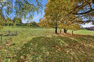 2376 Kingfisher Ln, Kelso, WA 98626 - Photo 24