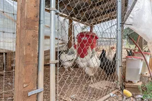 19791 NE Sunnycrest Rd, Newberg, OR 97132 - Photo 24