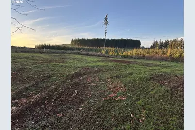 228 Suncrest Dr #1, Castle Rock, WA 98611 - Photo 6