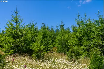 29852 Ingram Rd, Lebanon, OR 97355 - Photo 12