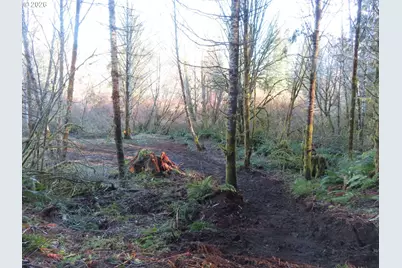 2431 N River Rd, Raymond, WA 98577 - Photo 26