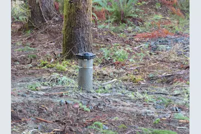 2431 N River Rd, Cosmopolis, WA 98537 - Photo 6