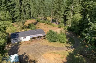 91184 Poodle Creek, Noti, OR 97461 - Photo 4