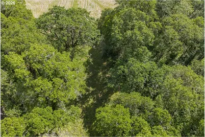 0 NW Kouns Dr, Albany, OR 97321 - Photo 24