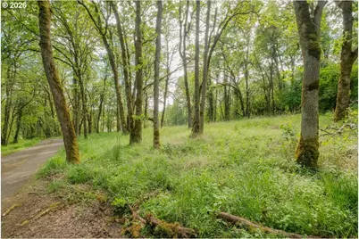 0 NW Kouns Dr, Albany, OR 97321 - Photo 10