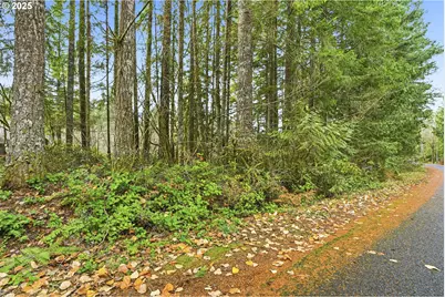 65344 E Sandy River Ln, Mount Hood Village, OR 97049 - Photo 2