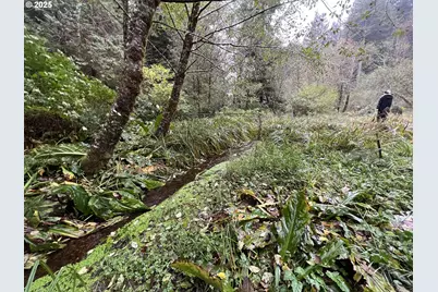 0 Ruth Road #700, North Bend, OR 97459 - Photo 30