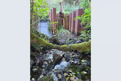 0 Ruth Road #700, North Bend, OR 97459 - Photo 4