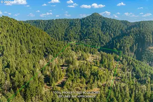 80181 Lost Creek Rd, Dexter, OR 97431 - Photo 22