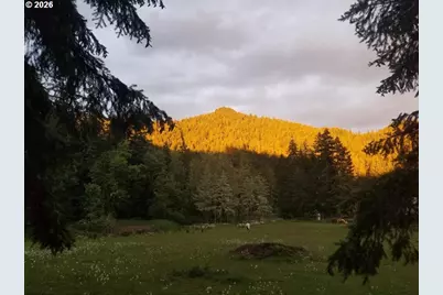 80181 Lost Creek Rd, Dexter, OR 97431 - Photo 30