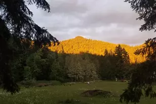 80181 Lost Creek Rd, Dexter, OR 97431 - Photo 30