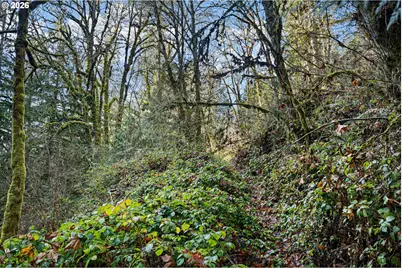 80181 Lost Creek Rd, Dexter, OR 97431 - Photo 26