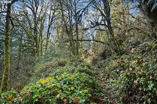 80181 Lost Creek Rd, Dexter, OR 97431 - Photo 26