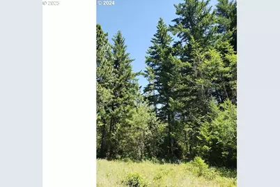 492 Sleepy Hollow Rd, Appleton, WA 98602 - Photo 4