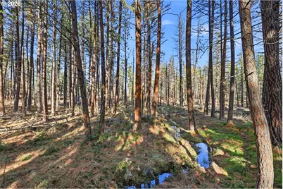 259 S Jw Rd, Tygh Valley, OR 97063 - Photo 38