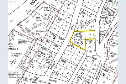 Forest Dell Ave, Wallowa Lake, OR 97846 - Photo 2