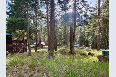 Forest Dell Ave, Wallowa Lake, OR 97846 - Photo 8