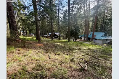 Forest Dell Ave, Wallowa Lake, OR 97846 - Photo 6