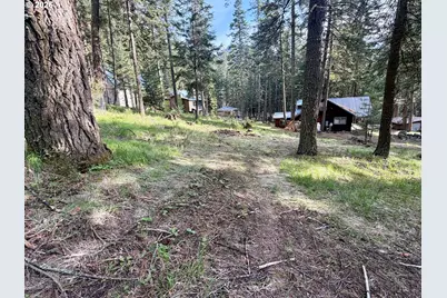 Forest Dell Ave, Wallowa Lake, OR 97846 - Photo 4